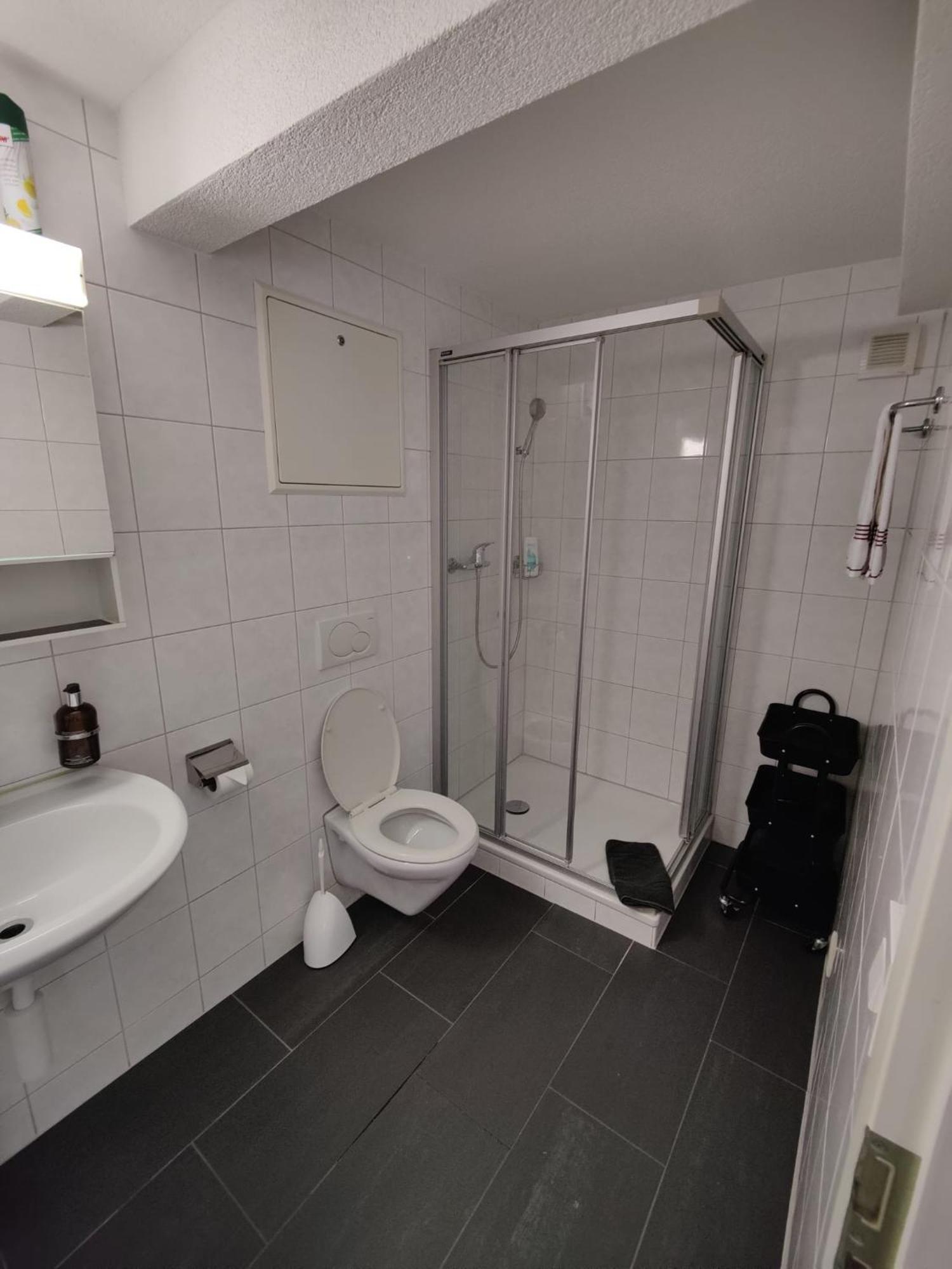 Hubel Apartment 14 Wilderswil Pokój zdjęcie